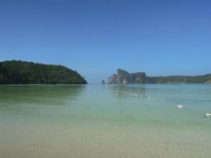 A false image of tranquility at Koh Phi Phi