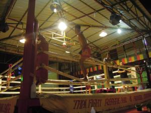 Entering the Muay Thai ring