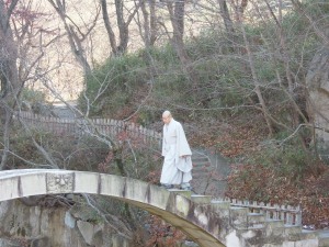 Monk on a bridge