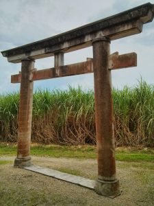 37. Sugar Cane field behind shrine gate.